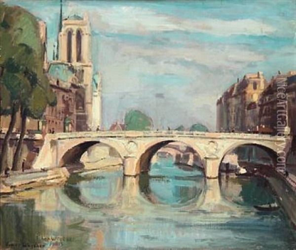 View From Paris With The Seine And Notre Dame Oil Painting - Lili Elbe