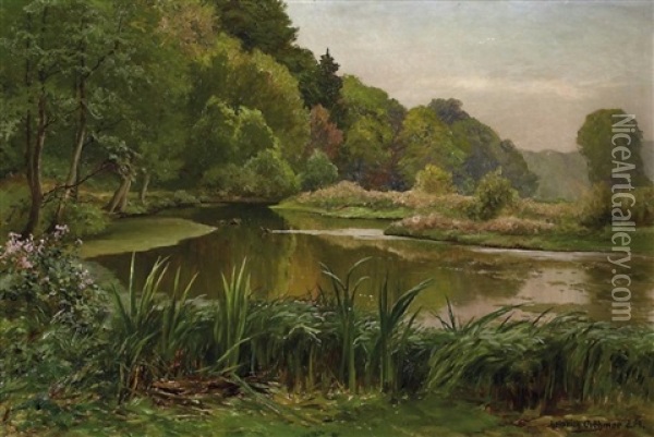Cromforter Teich Oil Painting - Heinrich Boehmer