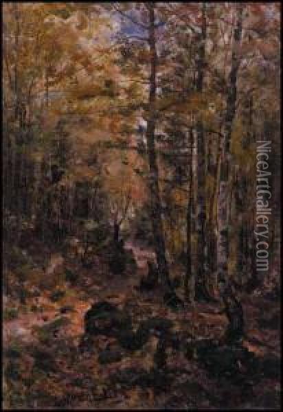 Sunlit Forest Path Oil Painting - Aaron Allan Edson