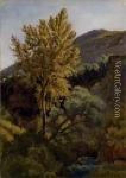Etude D'arbre Pres D'un Torrent En Italie Oil Painting - Jean-Baptiste-Camille Corot