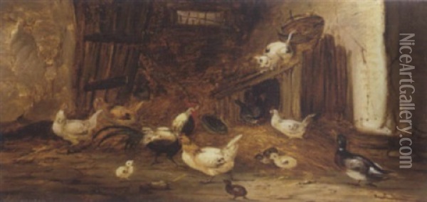 Chat Dans La Basse-cour Oil Painting - Claude Guilleminet