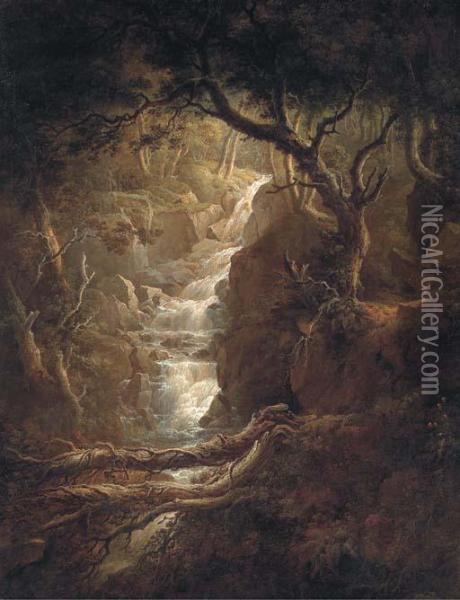 A Waterfall In Tillicoultry Glen, Clackmannanshire Oil Painting - Alexander Nasmyth