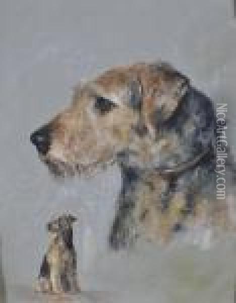 Study Of An Ayrdale Terrier Oil Painting - Arthur Wardle