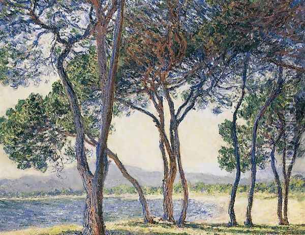 Trees By The Seashore At Antibes Oil Painting - Claude Oscar Monet