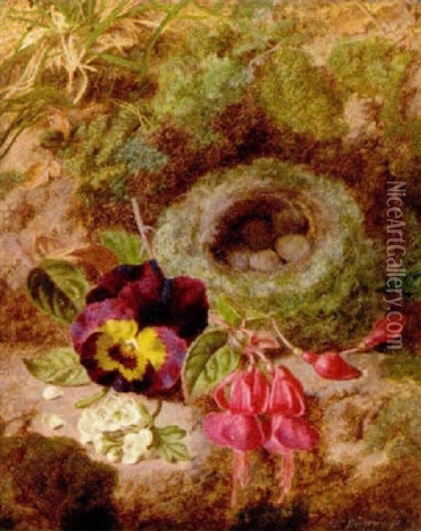 Apple Blossom, Pansies, Fuchsias And A Bird's Nest On A Mossy Bank Oil Painting - Thomas Worsey