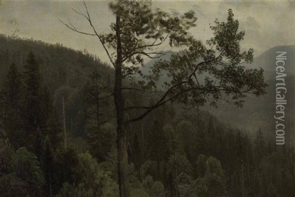 Tree Covered Mountains Oil Painting - Albert Bierstadt