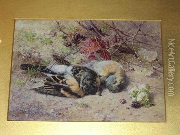 Dead Finches Oil Painting - Helen Cordelia Coleman Angell