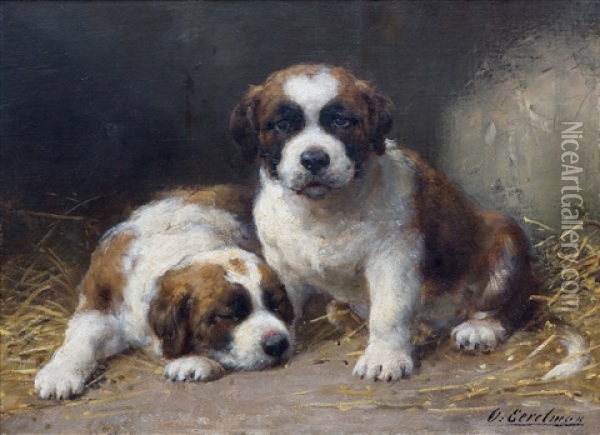 Two Saint Bernard Puppies Oil Painting - Otto Eerelman