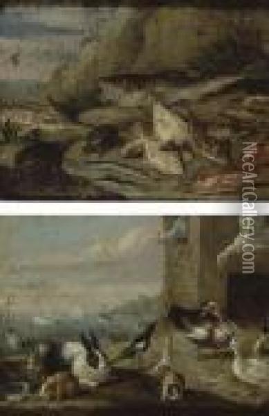 Scenes Avec Des Animaux Et Des Poissons Oil Painting - Jan van Kessel
