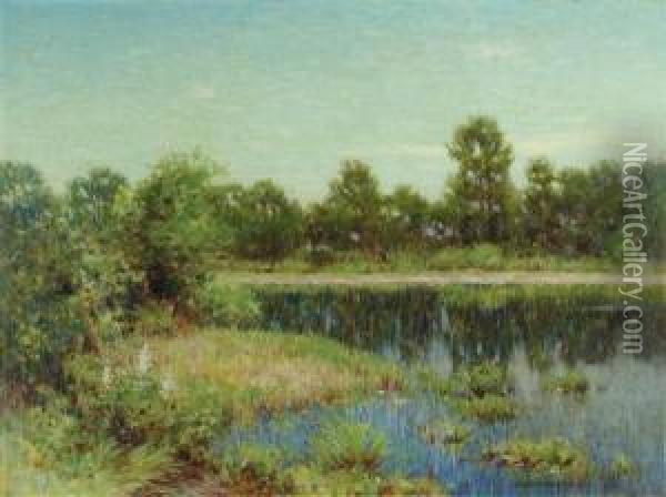 Summer Reflections Oil Painting - John Willard Raught