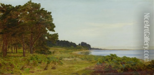 Afternoon By The Lake Oil Painting - James Hayllar