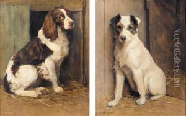 A Jack Russell; A Springer Spaniel Oil Painting - Samuel Fulton