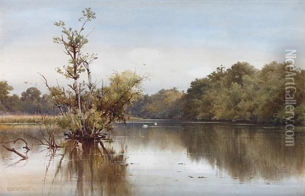 Tranquil River Scene, Possibly On Thebroads Oil Painting - Edward Henry Fahey