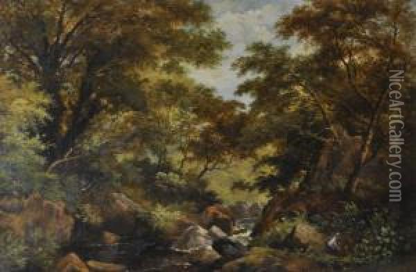 Rocky Streamthrough Woodland Oil Painting - James Peel