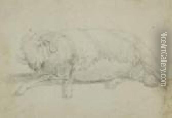 Roos Sheep Drawing Oil Painting - Johan Heinrich Roos