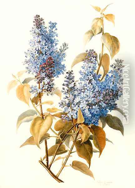 A branch of lilac Oil Painting - Pauline Girardin