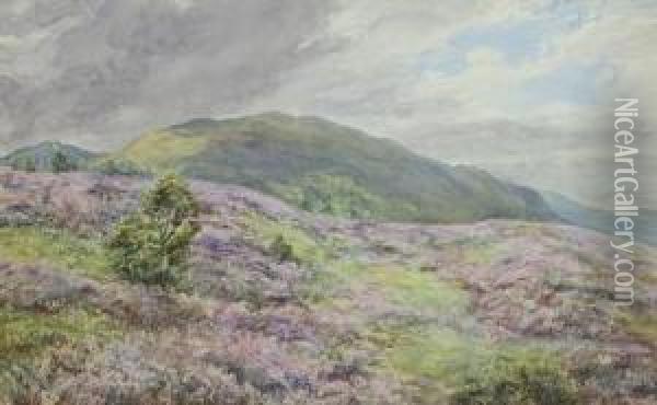 Heather On The Moor Near Polchar, Aviemore Oil Painting - Gertrude Martineau
