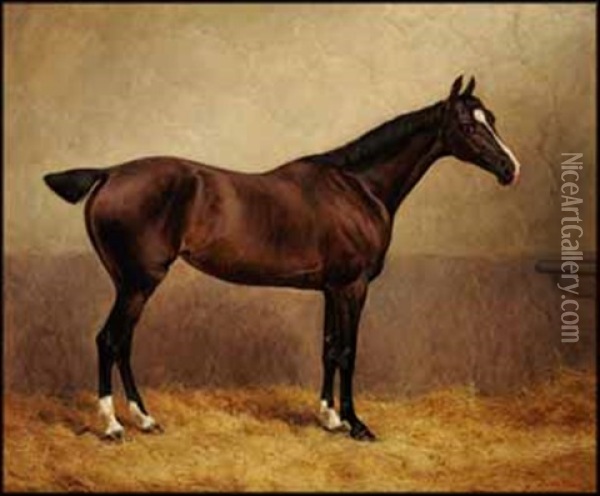 Portrait Of A Racing Horse In A Stable Oil Painting - Frank Paton