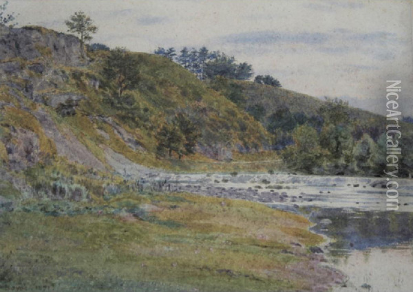 The Teme From Ludford Oil Painting - George Price Boyce