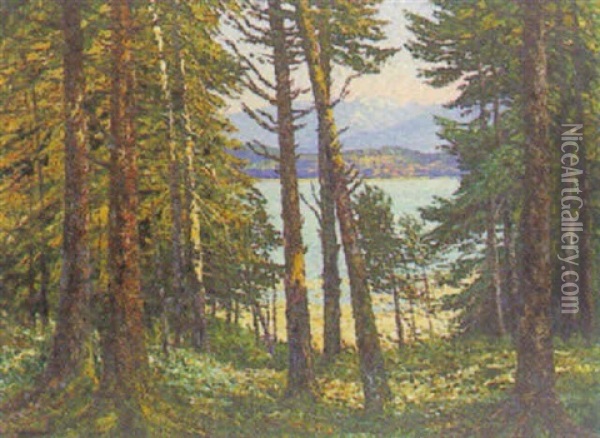 Blick Aus Dem Walde Auf Den Starnbergersee Oil Painting - Hugo (Emil Albert Hugo) Kreyssig