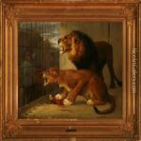 Two Lions In A Cage Oil Painting - Otto Bache