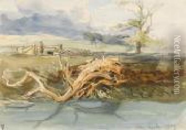A Fallen Tree At Keele, Newcastle Under Lyme,staffordshire Oil Painting - James Holland