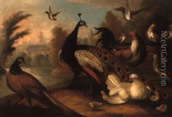 A Peacock, Pheasant, Partridges And Other Birds In A Landscape By A Lake Oil Painting - Marmaduke Cradock