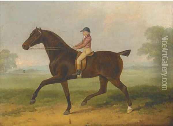 A racehorse with jockey up Oil Painting - John Nott Sartorius