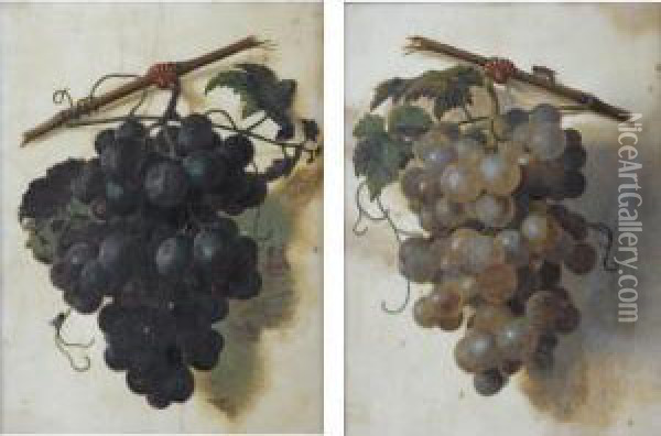 A Still Life Of Green Grapes; A Still Life Of Red Grapes Oil Painting - Christiaan van Pol