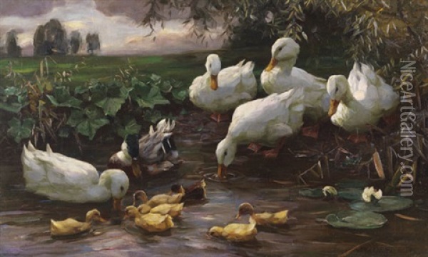 Erpel Mit Enten Und Kuken Am Seeufer Oil Painting - Alexander Max Koester