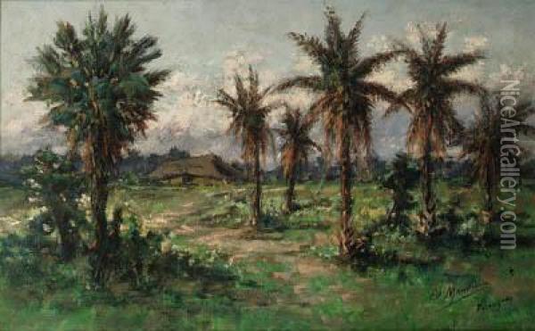 A Tropical Landscape With Palm Trees, Paraguay Oil Painting - Edouard Jean Marie Manduau