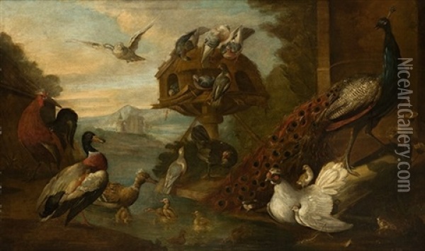 Escena Con Aves En Un Lago Oil Painting - Pieter Casteels III