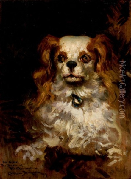 The Duke Of Marlborough, Portrait Of A Puppy Oil Painting - James Carroll Beckwith
