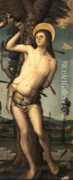 San Sebastiano Oil Painting - Liberale Da Verona