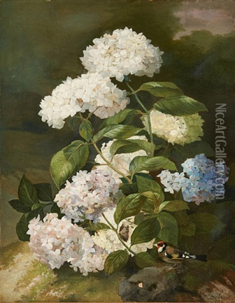 Oiseau, Papillon Et Fleurs Oil Painting - Alexandre Debrus