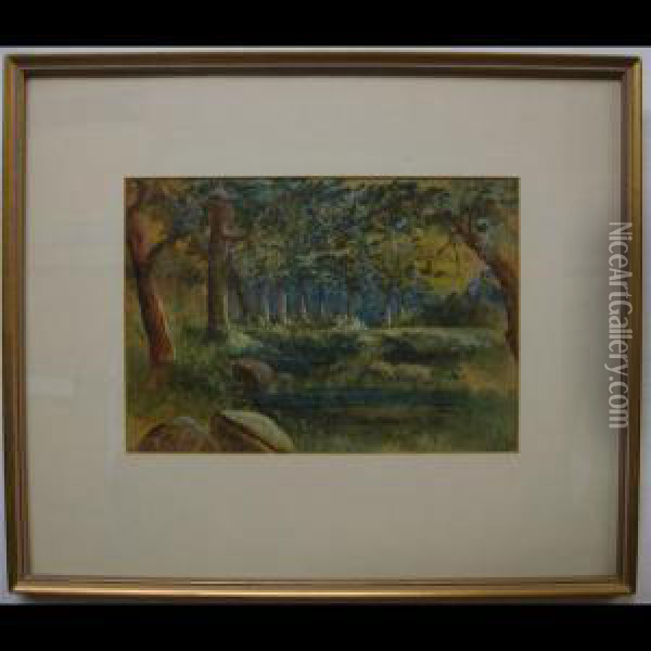 Woodland Pool Oil Painting - A.J. Pell