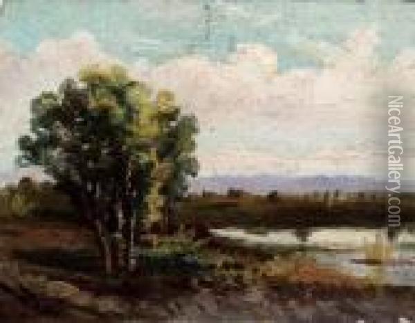 Paesaggio Con Albero Oil Painting - Achille Vertunni