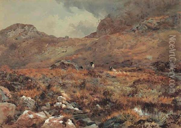Sheep Resting In A Grouse Moor Oil Painting - Archibald Thorburn