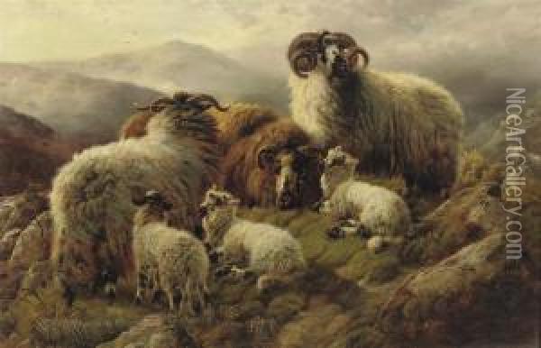 Highlandsheep In A Mountain Landscape Oil Painting - William Watson