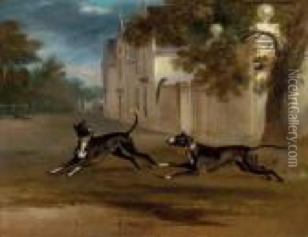 Earl Brownlow's Two Bull 
Terriers Nelson And Argo, Running In The Grounds Of A Country House Oil Painting - John Snr Ferneley