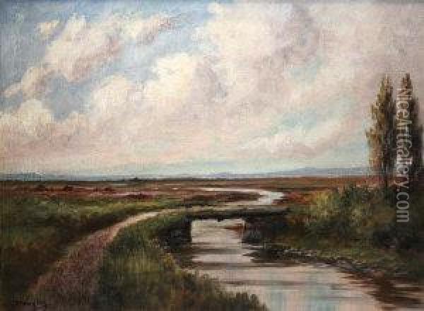 Near Ballinlough, Co Roscommon Oil Painting - Douglas Alexander