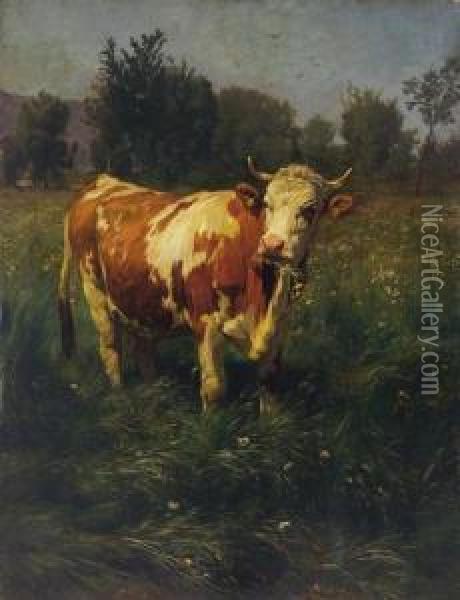Kuh Auf Der Wiese. Oil Painting - Rudolf Koller
