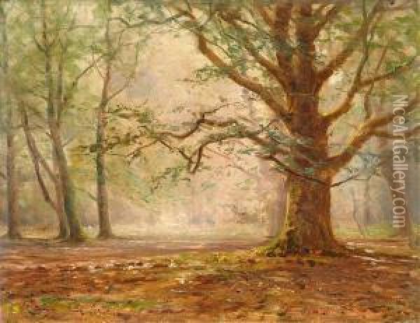 Woodlands Oil Painting - Frederik Golden Short