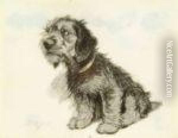 Studyof A Terrier Oil Painting - Cecil Charles Aldin