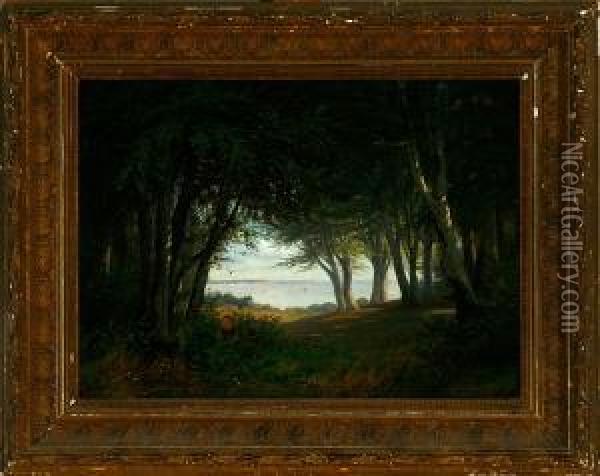 By The Edge Of A Wood Near The Great Sound I Denmark, Summer Oil Painting - Joseph Andreas Weiss