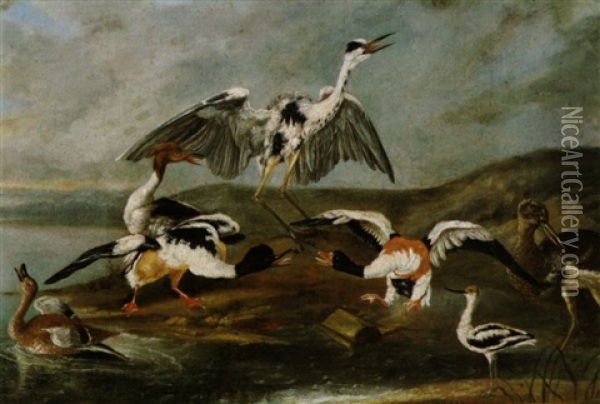 Ein Reiher, Enten Und Andere Wasservogel Am Ufer Eines Sees Oil Painting - Philipp Ferdinand de Hamilton