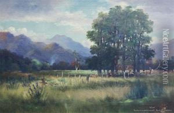 Pastural Scene With Cattle Oil Painting - John Douglas Perrett