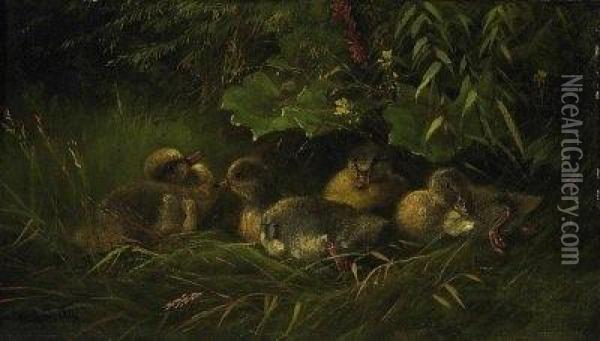 Duckling In The Nest. Signed Lower Left: Carl Jutz Oil Painting - Carl, Jutz Jnr.