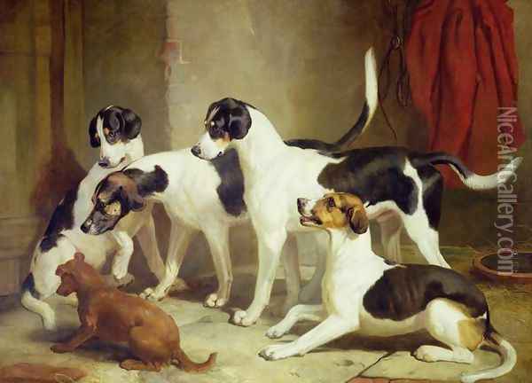 Portrait of Favorite Foxhounds Oil Painting - Thomas Woodward