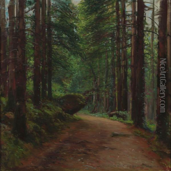 Forest Scenery At Huelgoat, Brittany Oil Painting - Peder Knudsen